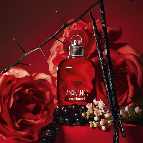 CACHAREL PARFUM Amor Amor Geschenkset - Eau de Toilette CACHAREL PARFUM Amor Amor Geschenkset - Eau de Toilette
